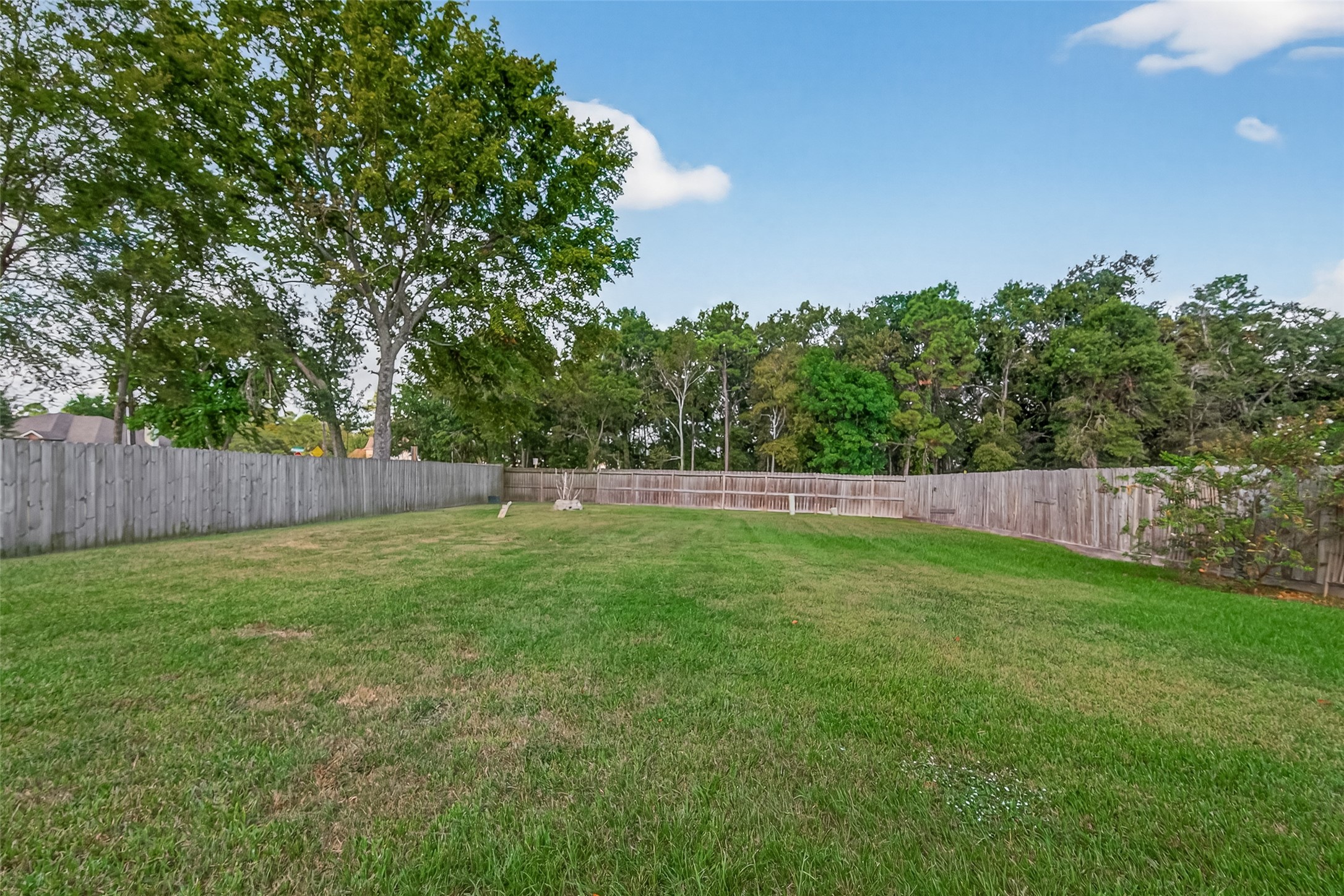 19207 Pinewood Mist Lane Humble, TX 77346 - Photo 28 of 29 a view of a backyard with a trees