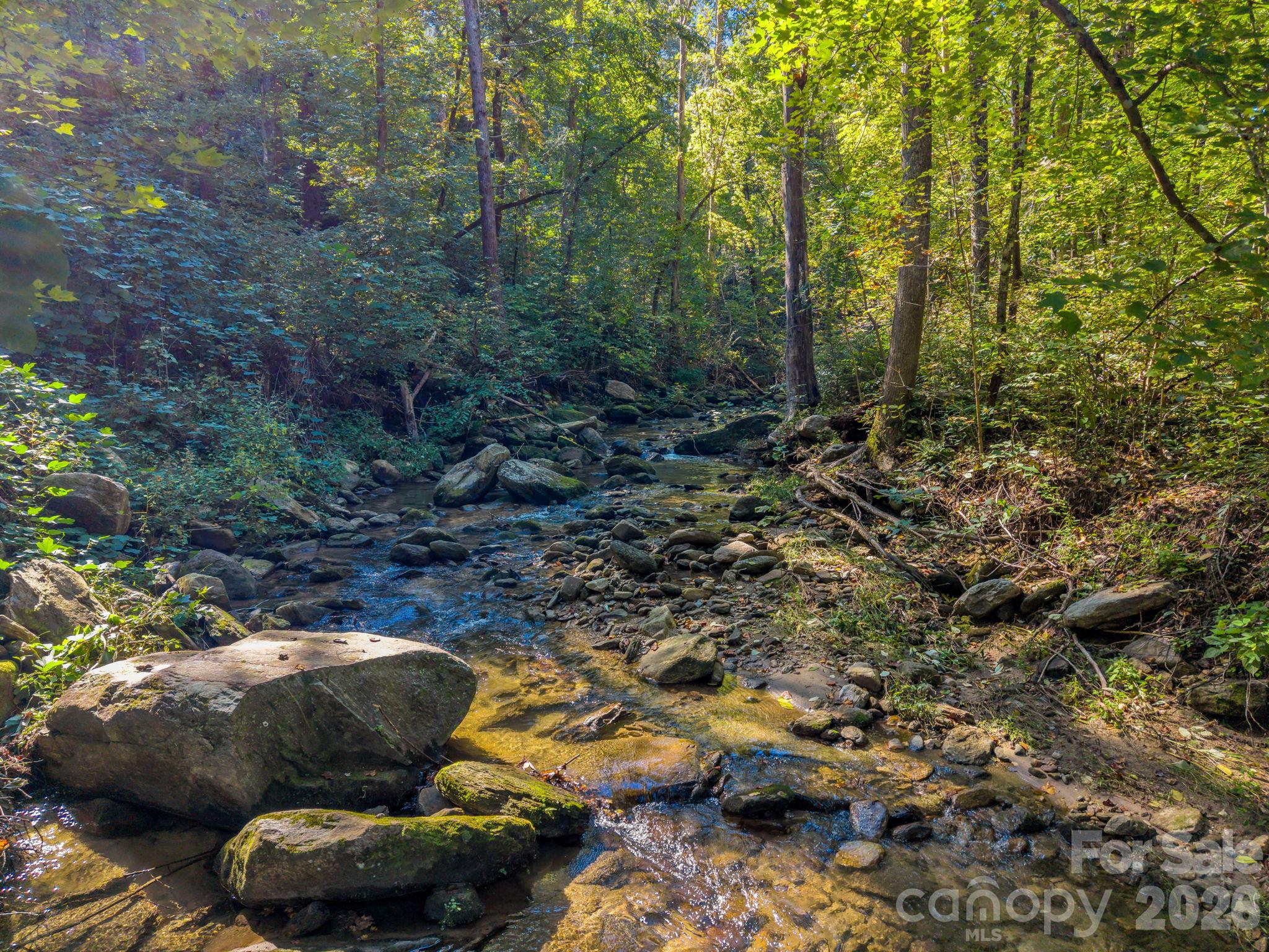 127 Cattail Road Lake Lure, NC 28746 - Photo 13 of 48 Gallery Image 13