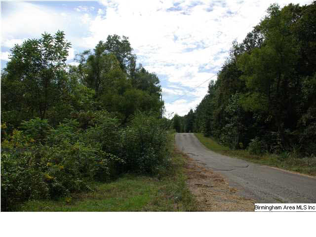 Turkey Ridge, Unit 11 Ragland, AL 35131 - Photo 9 of 31