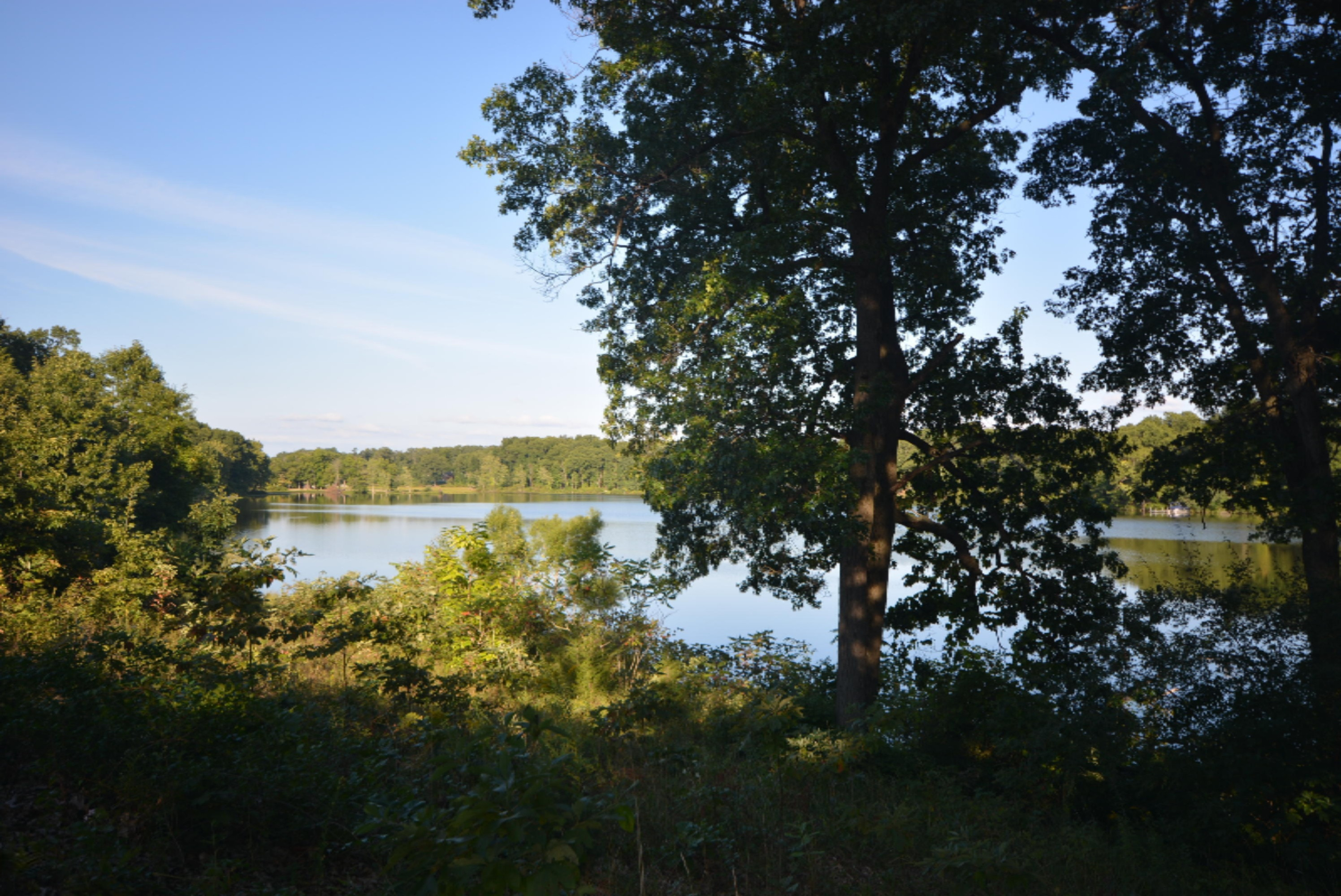 59285 Noah Lake Road Three Rivers, MI 49093 - Photo 3 of 18 DSC_0398