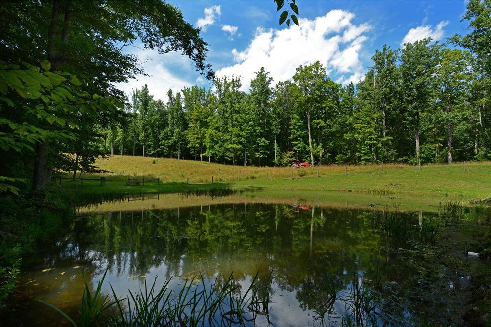5225 Cornstalk Road Crawley, WV 24931 - Photo 5 of 44 Gallery Image 5