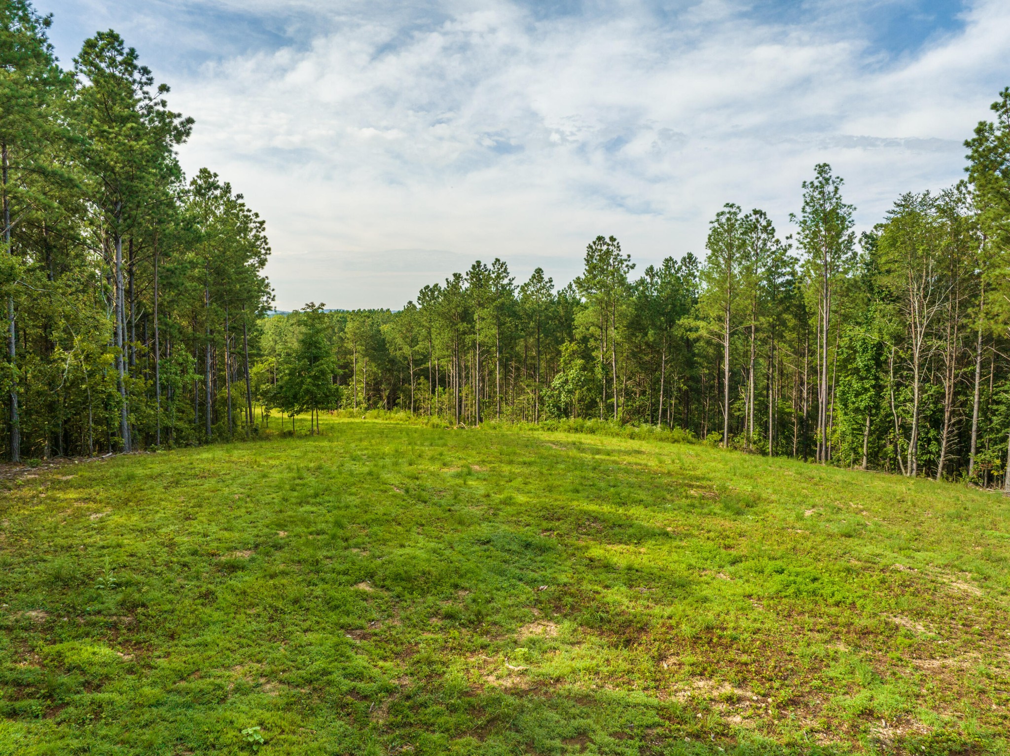 450 Cottonport Ridge Road Decatur, TN 37322 - Photo 25 of 51 Gallery Image 25