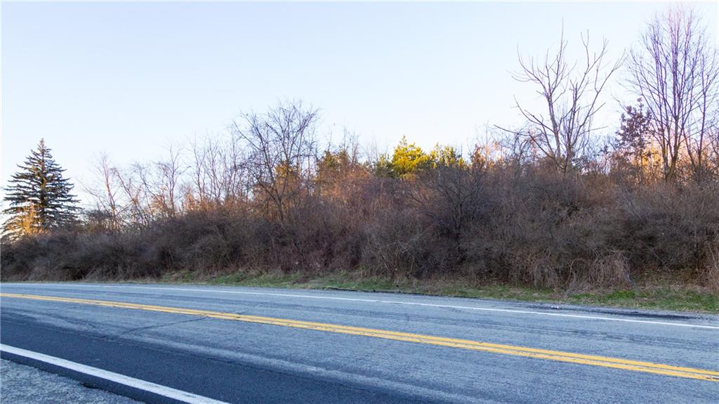 Lot Mingo Road Wexford, PA 15090 - Photo 2 of 2 Gallery Image 2