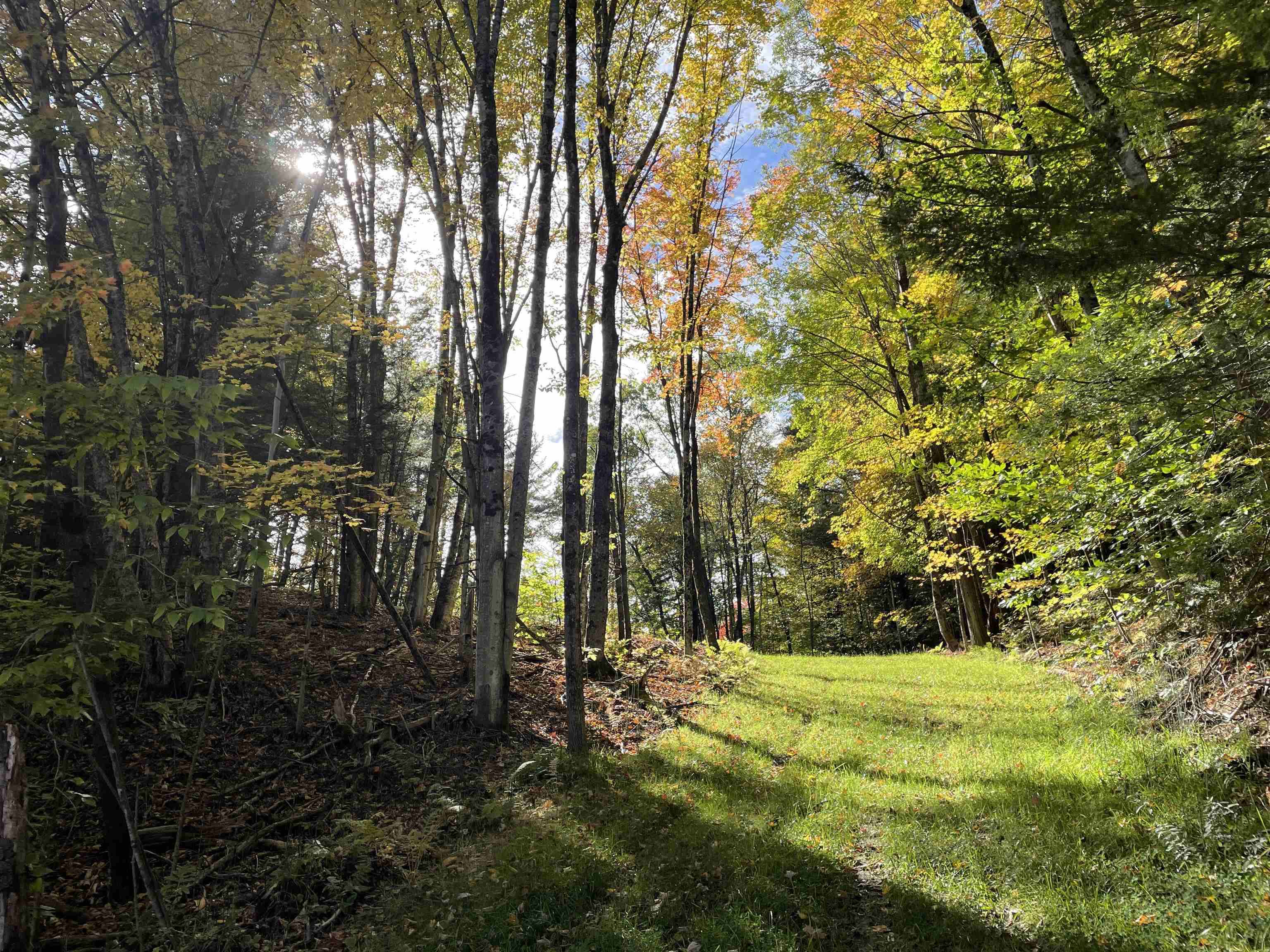 Lot 2 Old Center Road St. Johnsbury, VT 05819 - Photo 3 of 10 Gallery Image 3