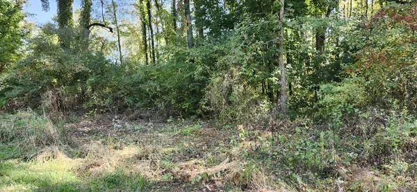 $168,000 | 0 North Shore Drive, Edwardsburg, MI 49112