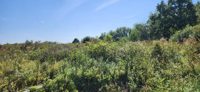 $168,000 | 0 North Shore Drive, Edwardsburg, MI 49112