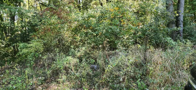 $168,000 | 0 North Shore Drive, Edwardsburg, MI 49112