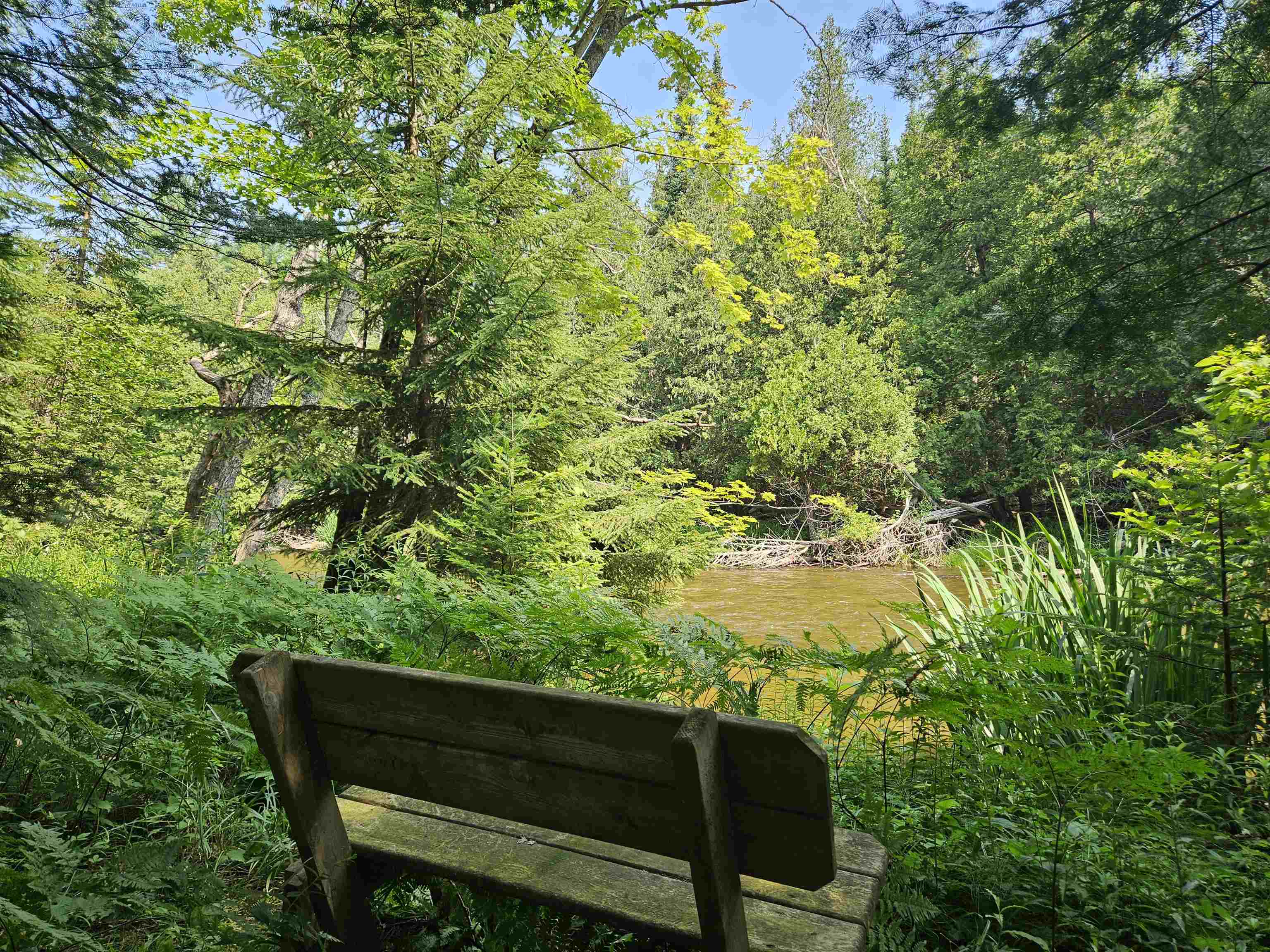 1701 East River Road Traverse City, MI 49696 - Photo 5 of 14 Gallery Image 5
