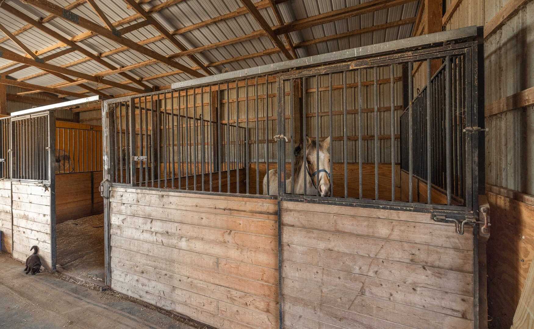1740 Brier Creek Road, Unit 1 Harrisburg, IL 62946 - Photo 38 of 52 a view of wooden door