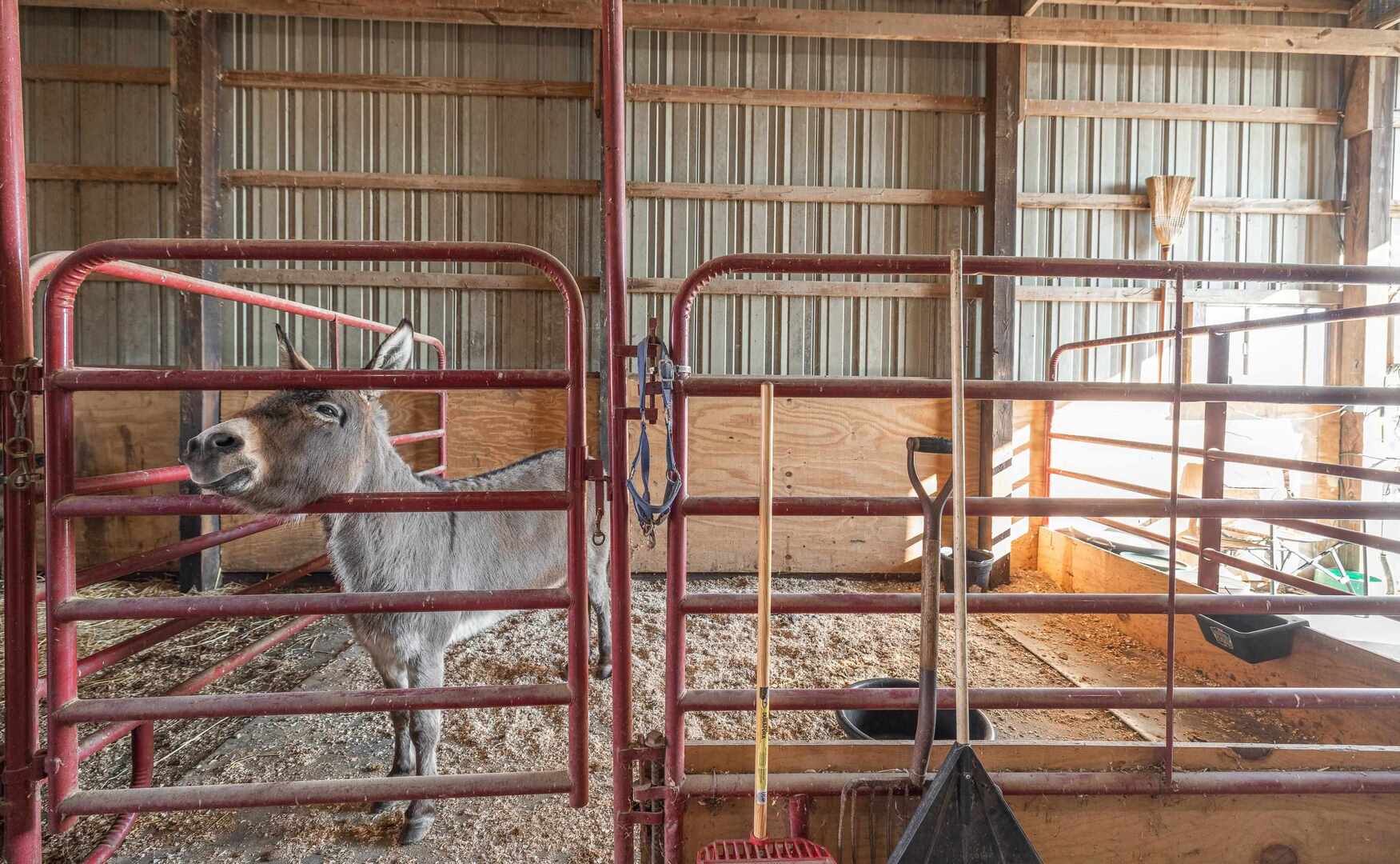 1740 Brier Creek Road, Unit 1 Harrisburg, IL 62946 - Photo 39 of 52 a view of staircase with large window