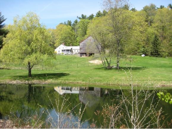 75 North Line Road Wolfeboro, NH 03894 - Photo 30 of 33