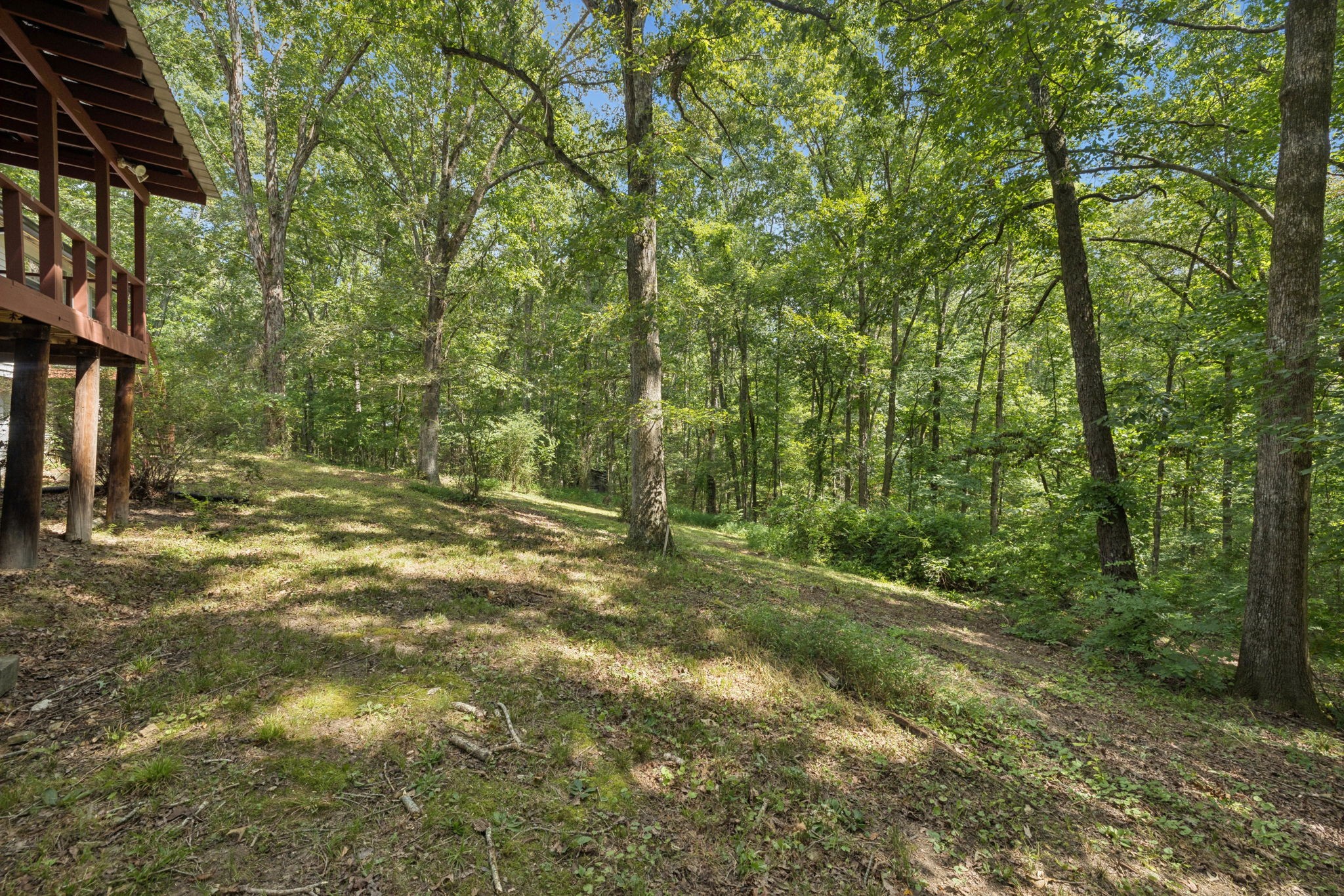 61 Brazzle Road Waverly, TN 37185 - Photo 29 of 36 a view of outdoor space and yard