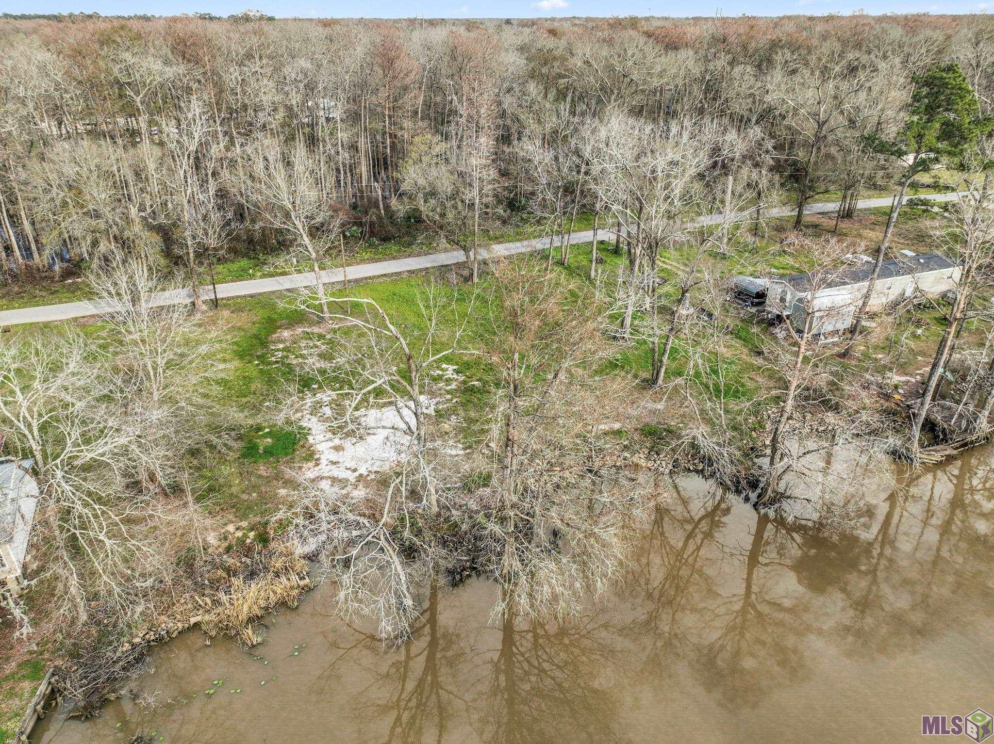 47838 Amite River Road St. Amant, LA 70774 - Photo 8 of 12