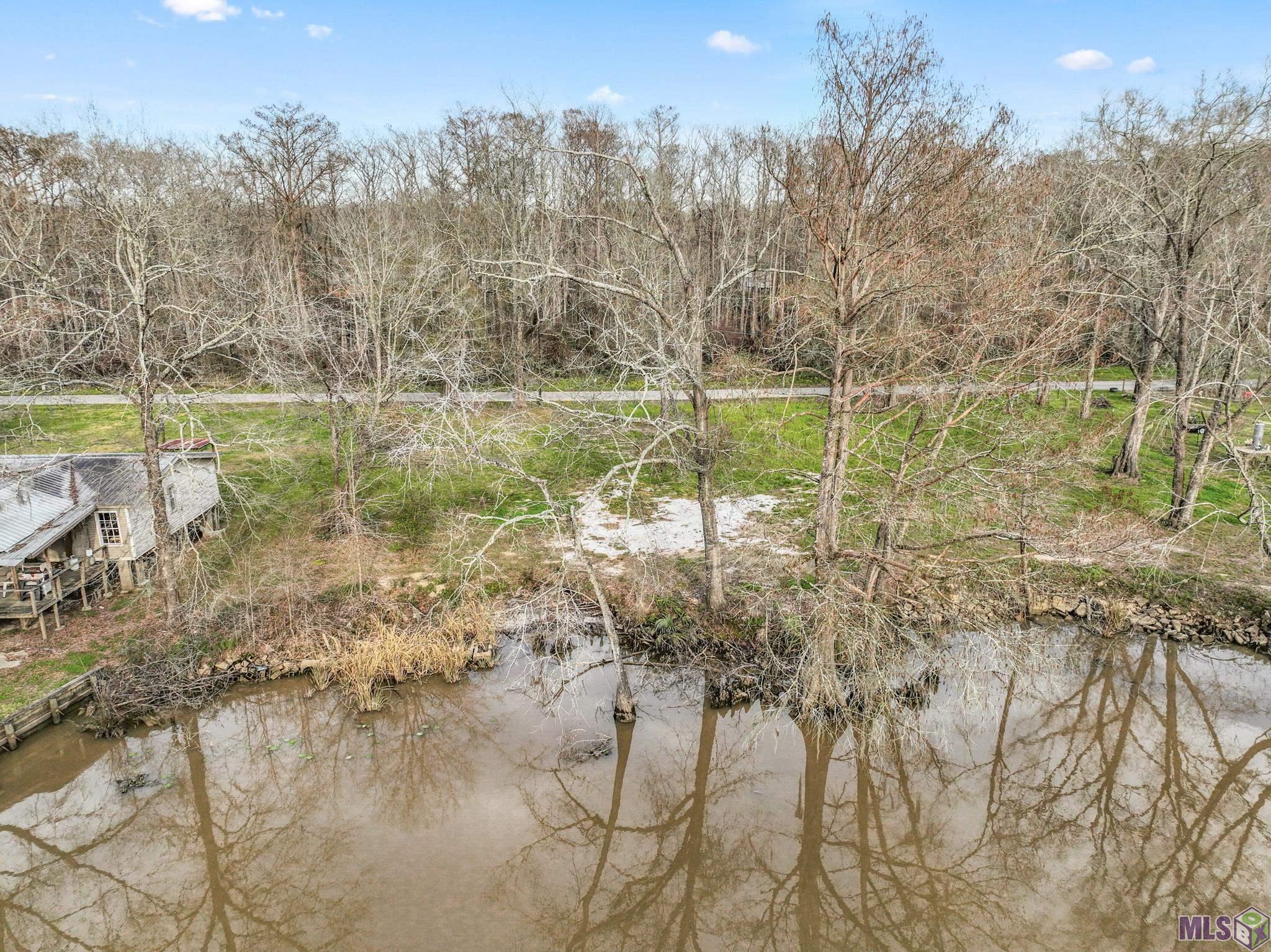 47838 Amite River Road St. Amant, LA 70774 - Photo 9 of 12