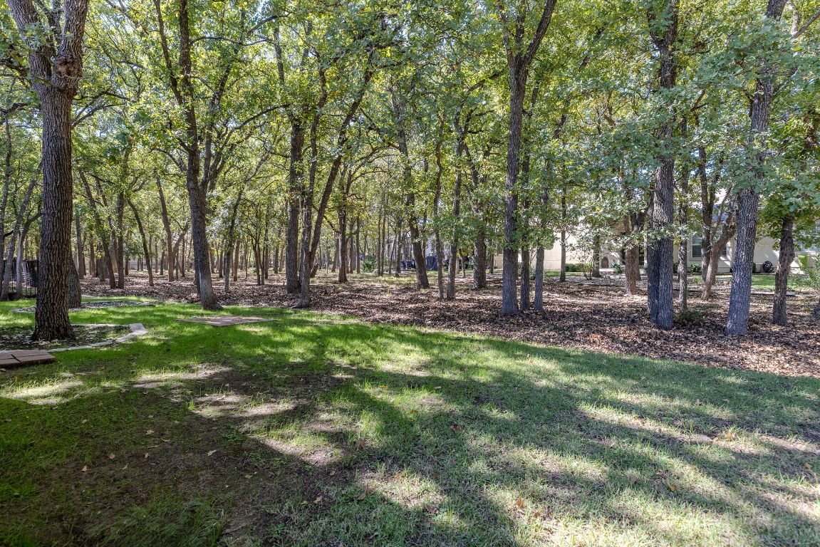 207 Cider Orchard Cove Georgetown, TX 78633 - Photo 33 of 35 a view of outdoor space with trees all around