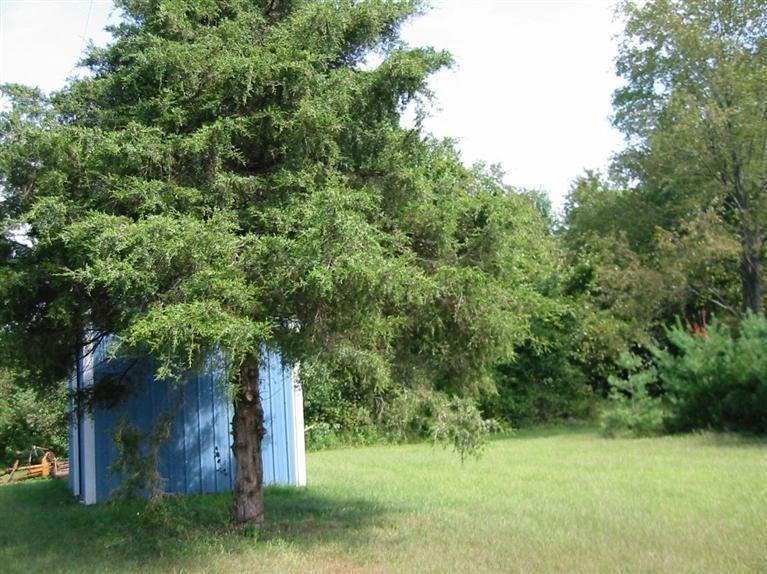 10345 Bunton Road Willis, MI 48191 - Photo 25 of 28 Photo 25
