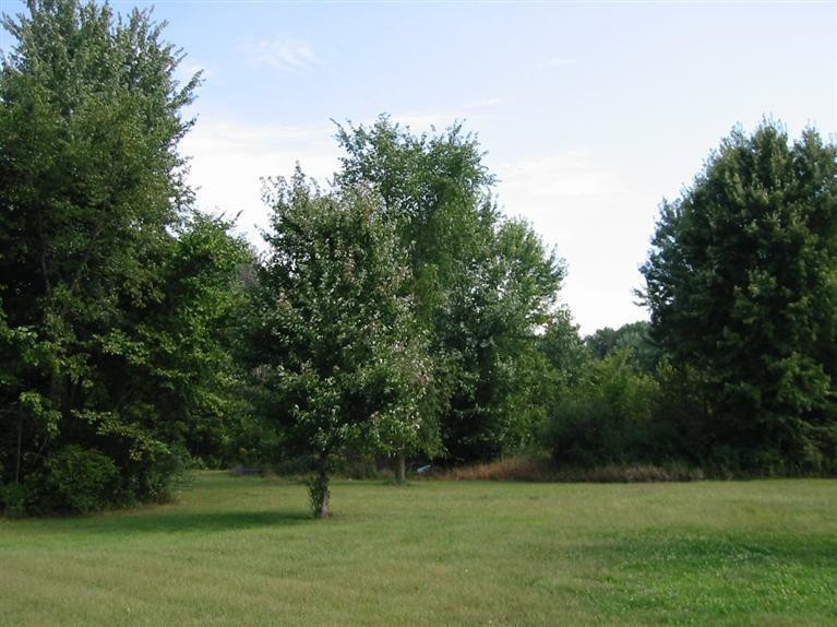 10345 Bunton Road Willis, MI 48191 - Photo 26 of 28 Photo 26