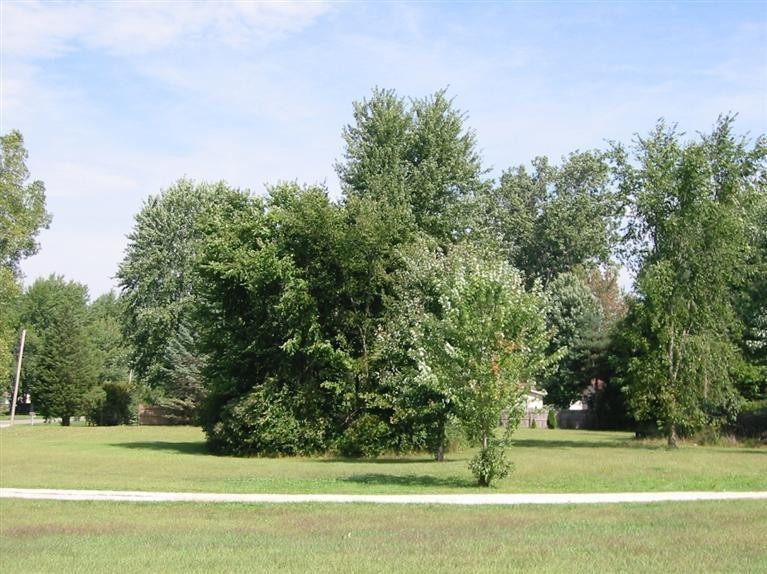 10345 Bunton Road Willis, MI 48191 - Photo 28 of 28 Photo 28