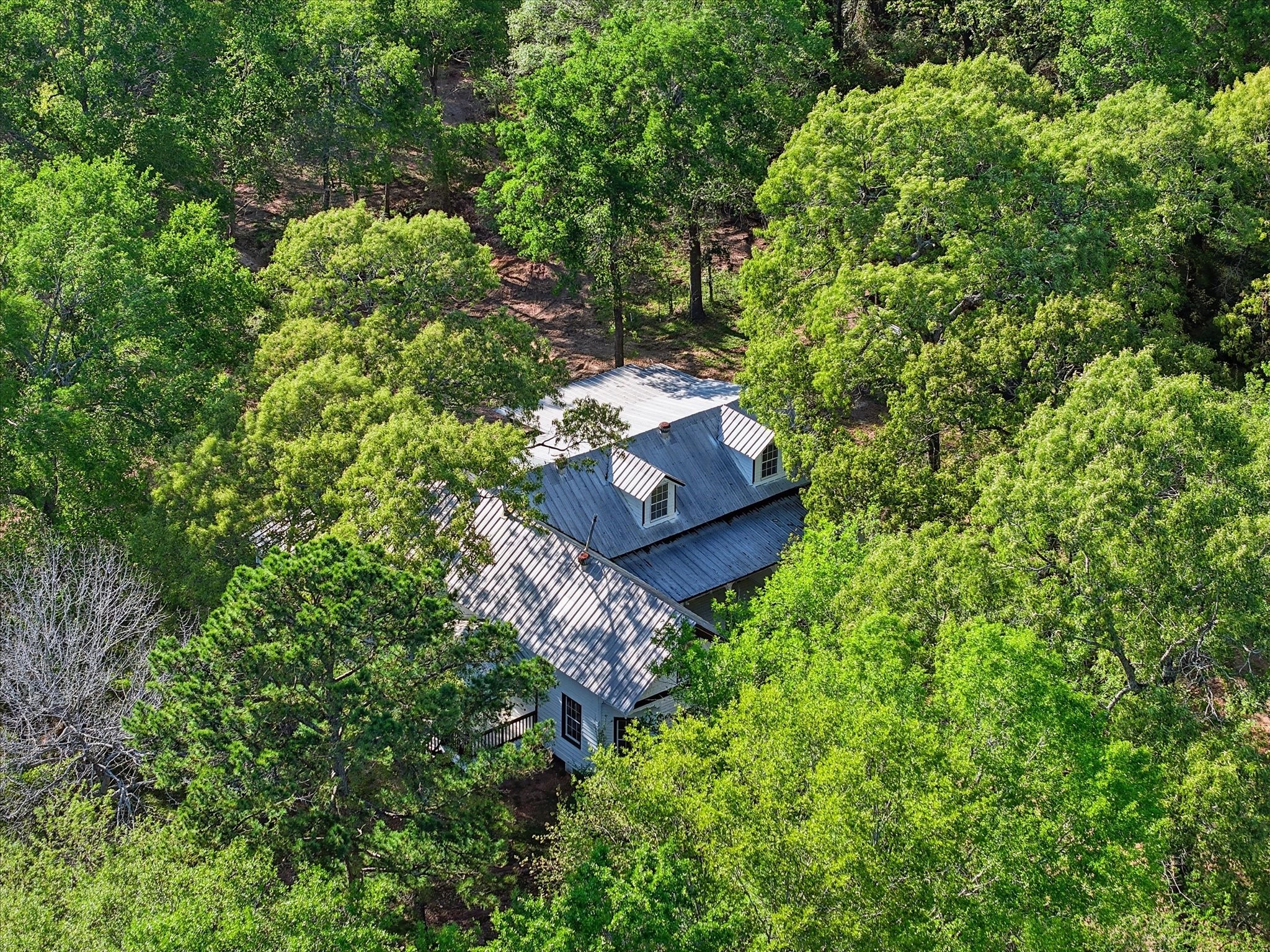 16958 Cedar Road Plantersville, TX 77363 - Photo 38 of 38