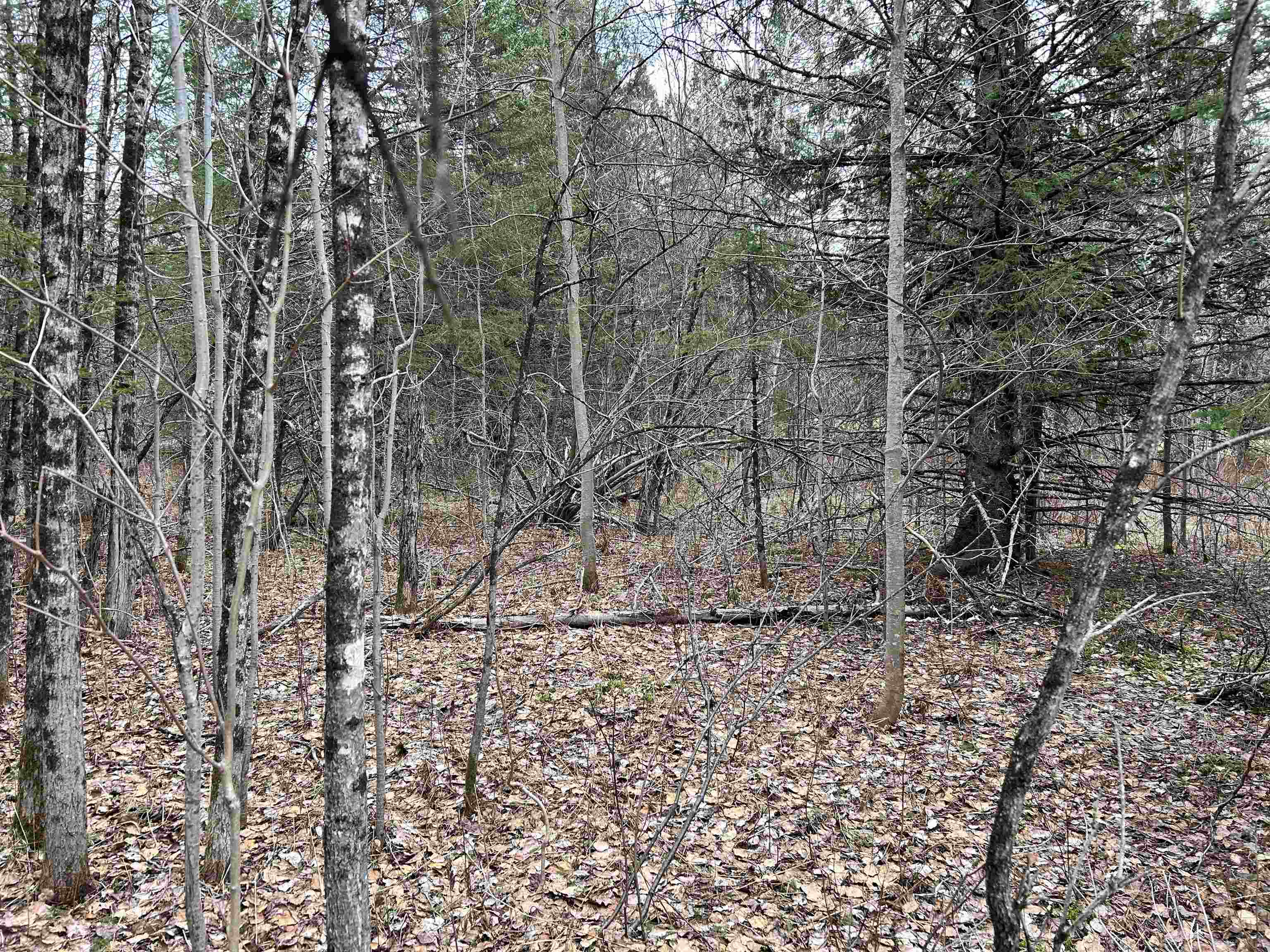 0 Norway Road Greensboro Bend, VT 05842 - Photo 7 of 14