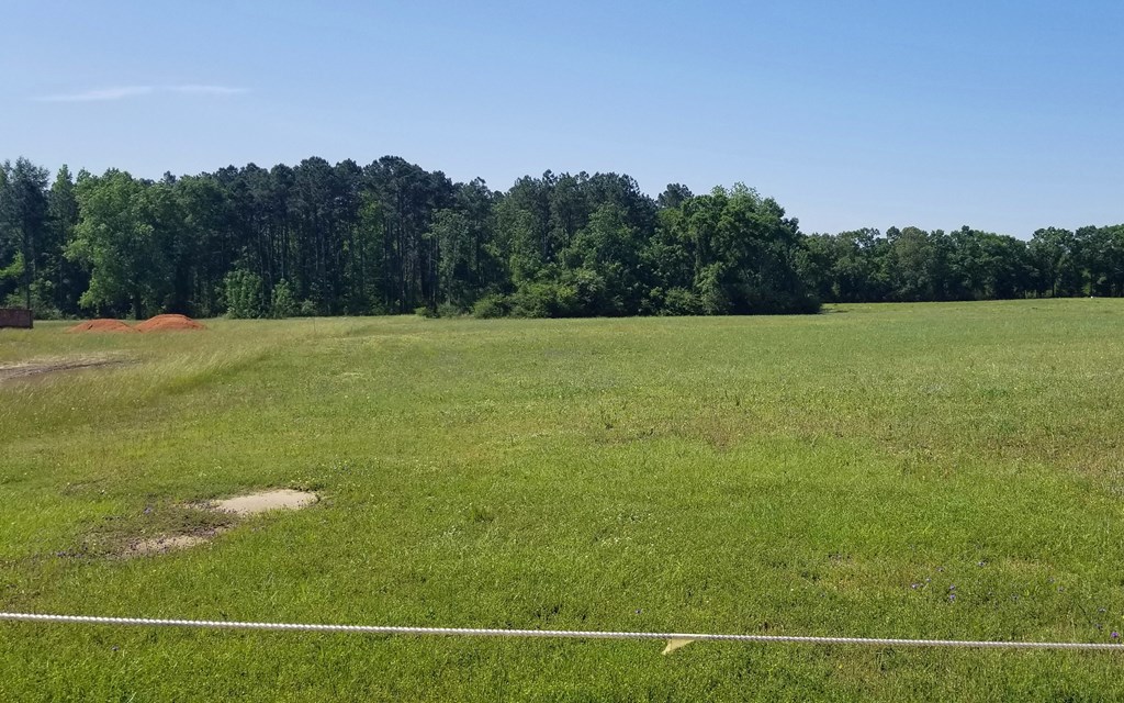 7-acres Hardy Road Dothan, AL 36301 - Photo 5 of 8