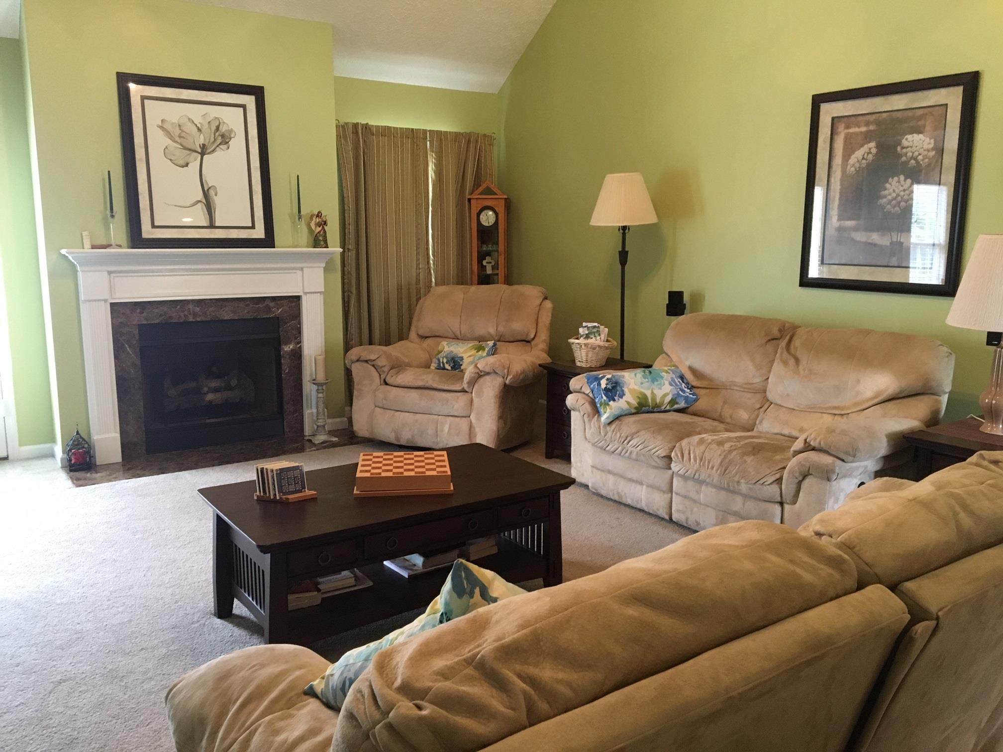 157 Brandywine Lane Springfield, TN 37172 - Photo 3 of 18 a living room with furniture and a fireplace