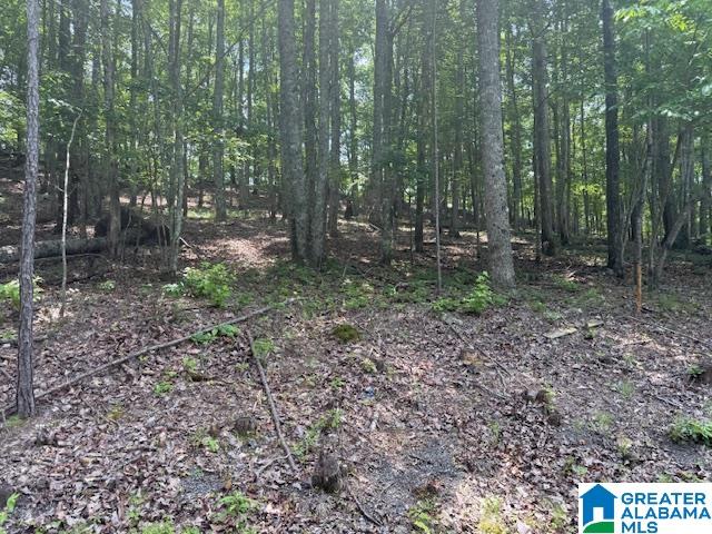 62 Bluebird Lane, Unit 11 Springville, AL 35146 - Photo 2 of 8