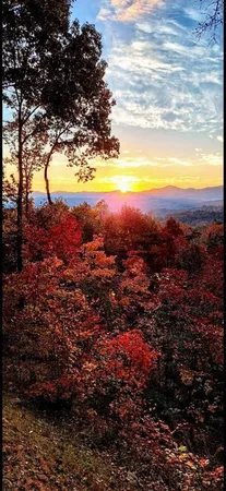 $3,000 | 245 Mountain Ridge, Blue Ridge, GA 30513