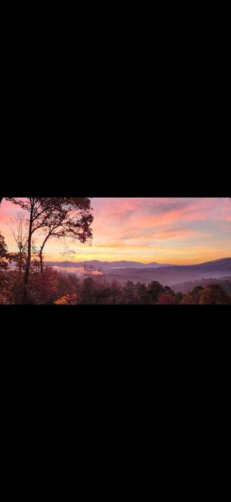 235 Mountain Ridge Blue Ridge, GA 30513 - Photo 8 of 8