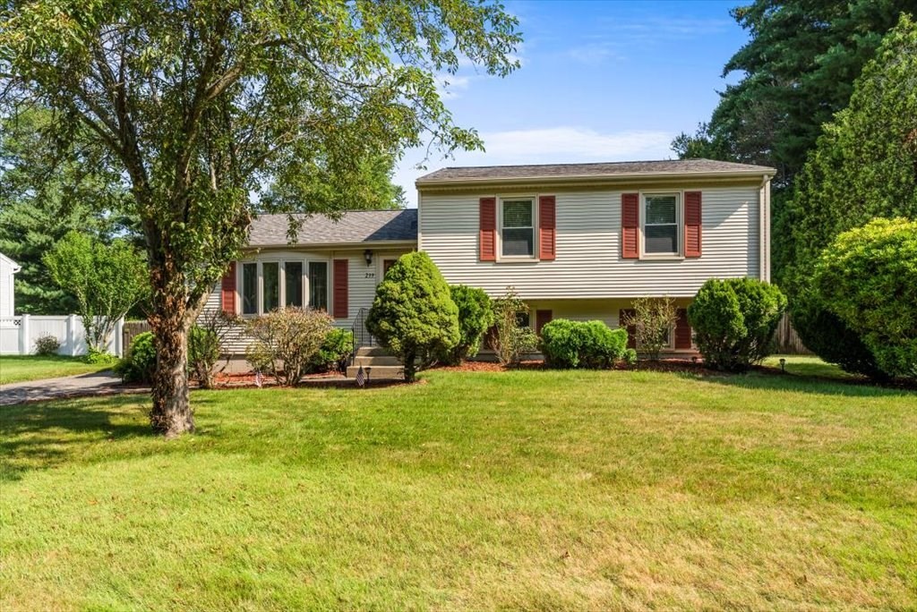 a view of a house with a yard and a tree