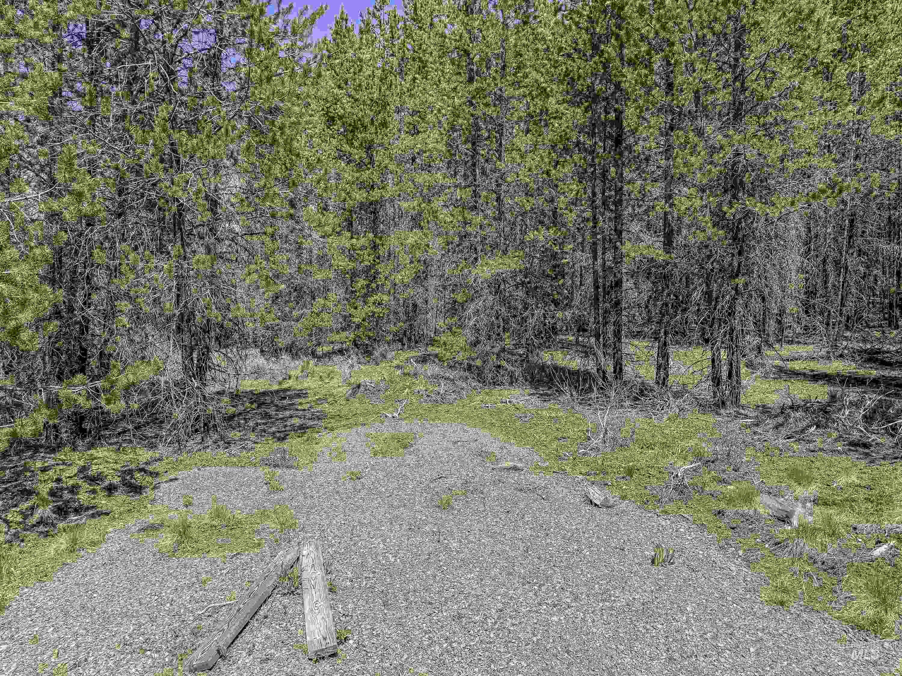 Tbd Deer Creek Road Winchester, ID 83555 - Photo 36 of 39
