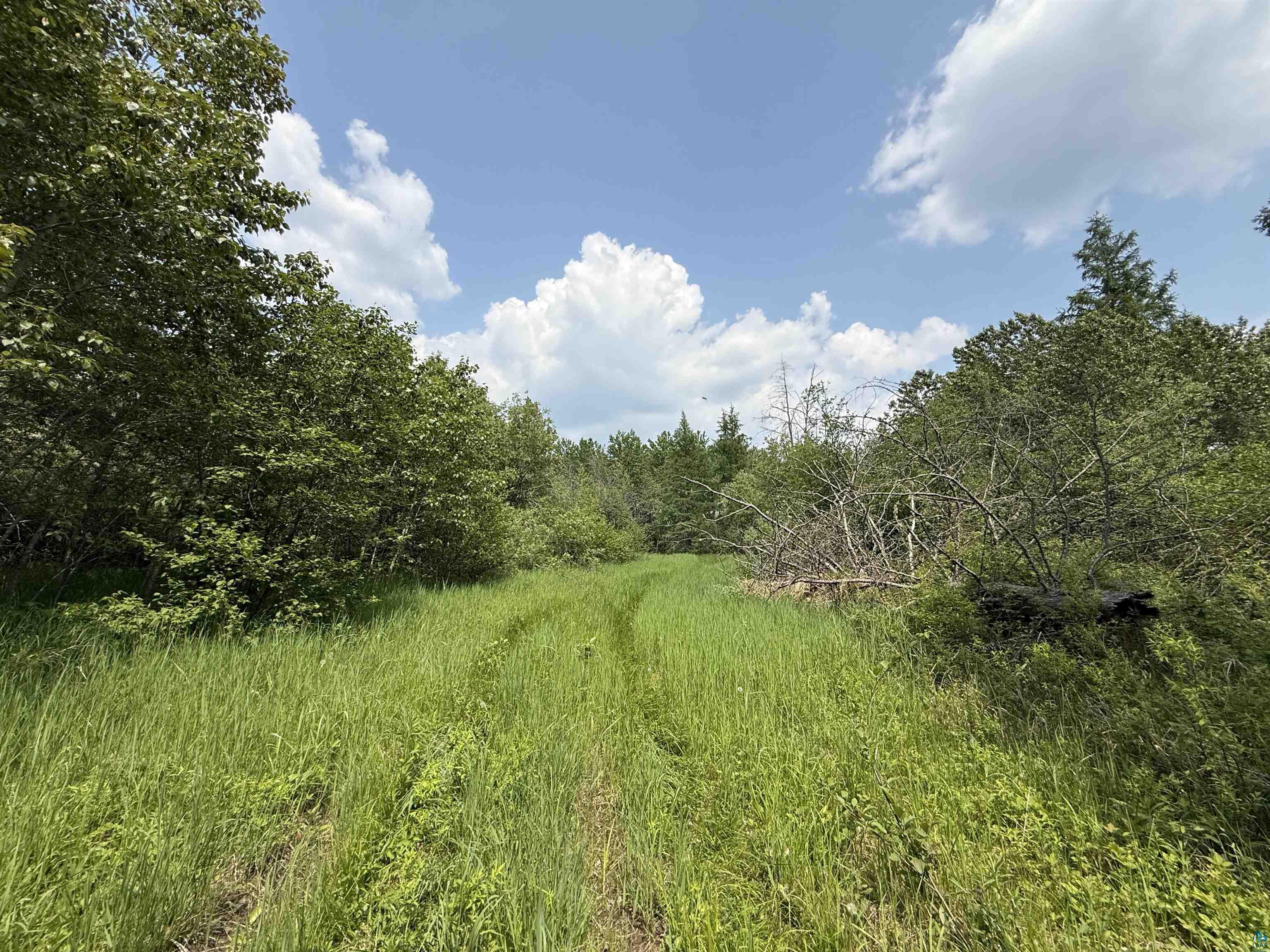 Tbd Samuelson Road Angora, MN 55703 - Photo 38 of 43 View of undeveloped land