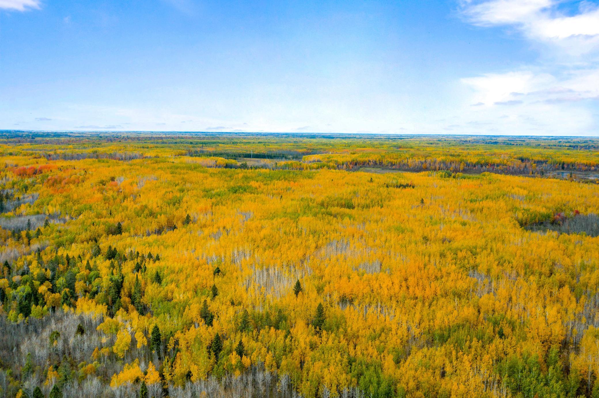 10000 River Road Floodwood, MN 55736 - Photo 27 of 31
