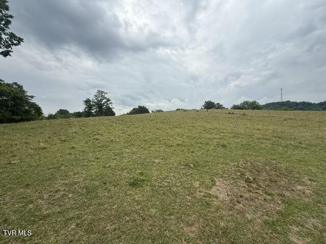 Tbd South Summer Sound Road Piney Flats, TN 37686 - Photo 22 of 22 IMG_8032