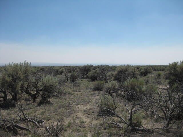 1600 Stagecoach Road Christmas Valley, OR 97641 - Photo 1 of 8 Native Plants