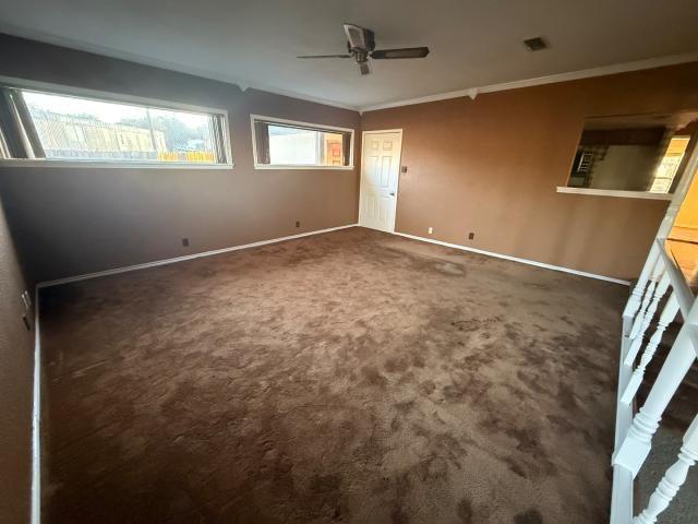 808 Flamingo Road Granbury, TX 76049 - Photo 10 of 28