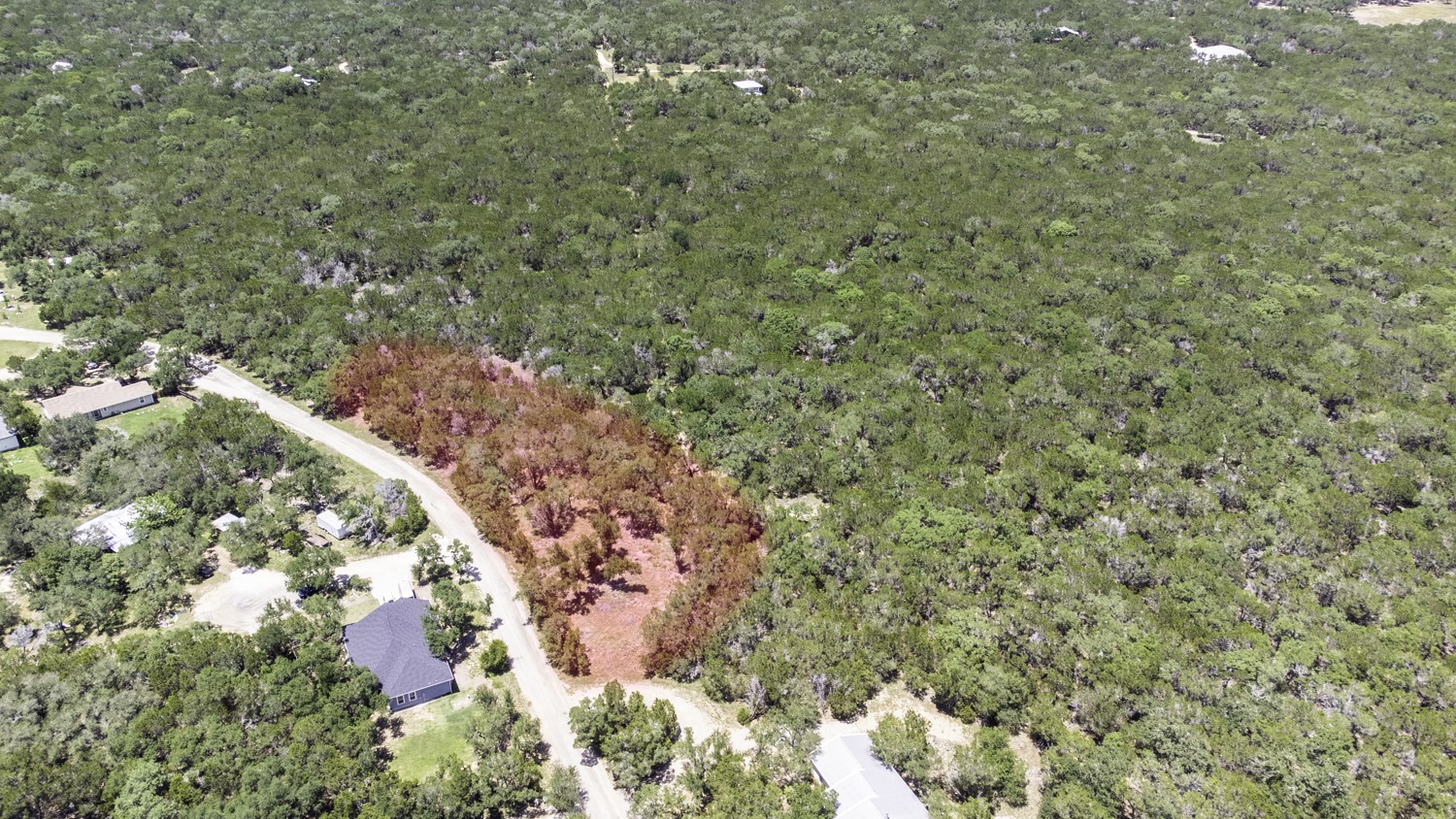 41 Persimmon Drive Wimberley, TX 78676 - Photo 9 of 13 Gallery Image 9
