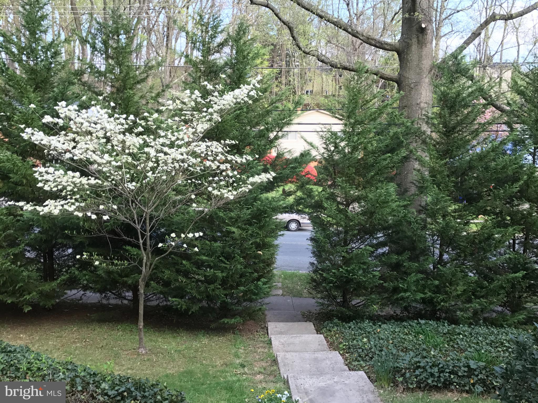 7712 Beech Tree Road Bethesda, MD 20817 - Photo 32 of 33