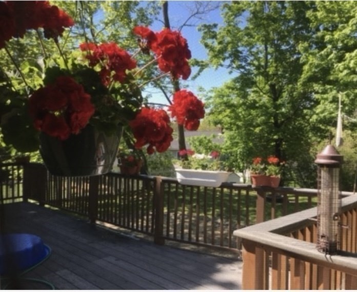 26 Sunset Road Dracut, MA 01826 - Photo 30 of 37