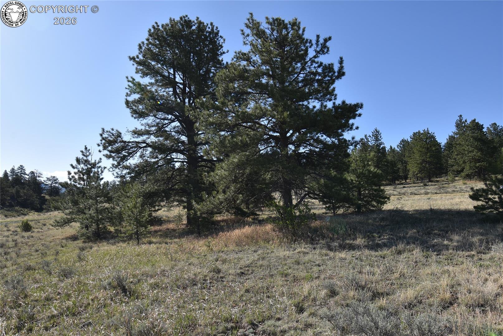763 Apache Road Westcliffe, CO 81252 - Photo 11 of 19 Gallery Image 11