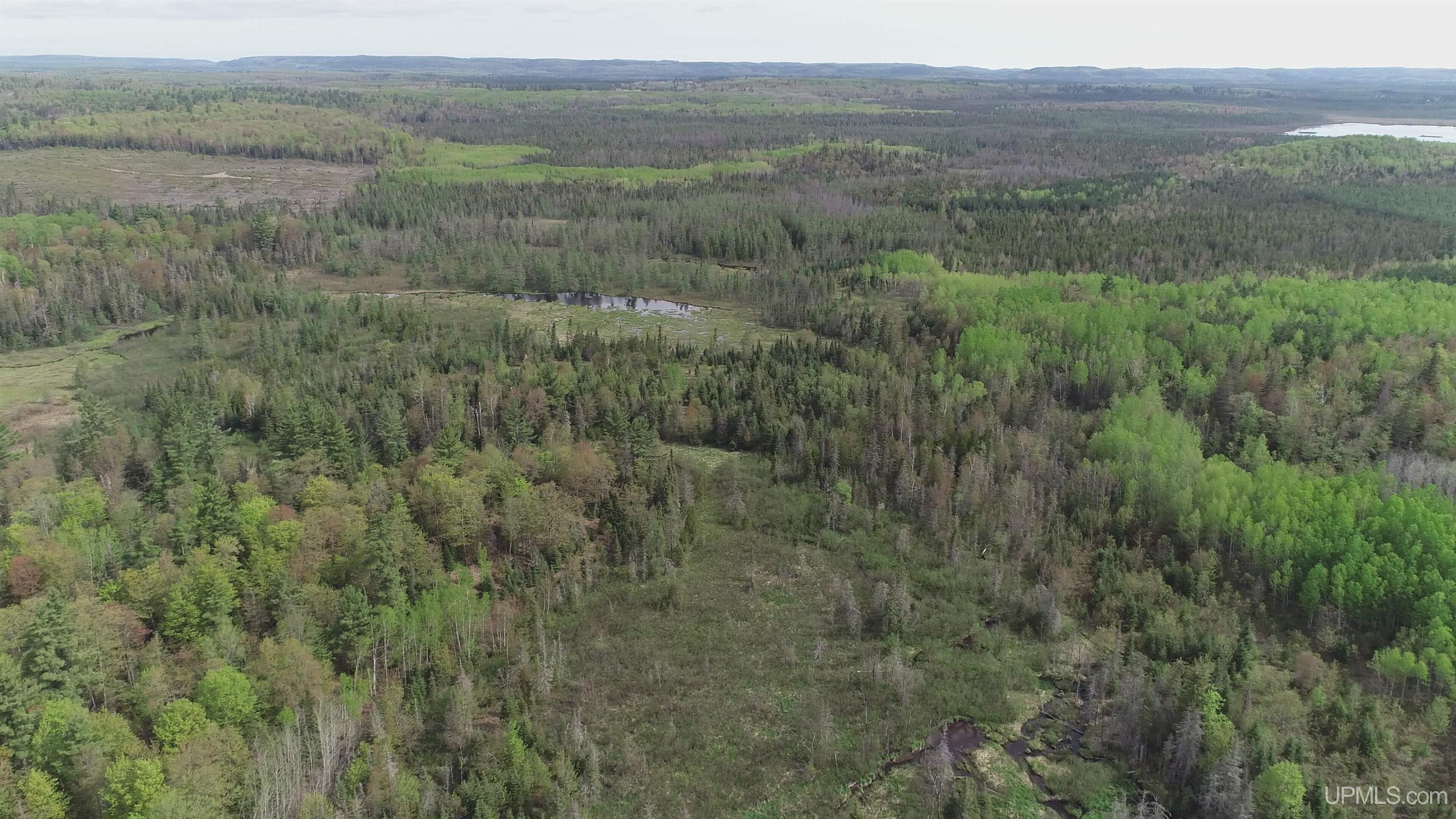 280-acres County Road CCN Road Negaunee, MI 49866 - Photo 17 of 48