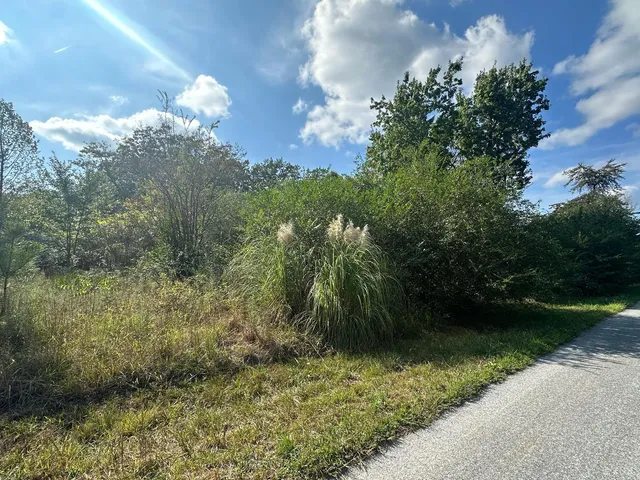 a view of a green yard