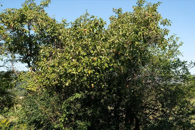 $740,000 | 23509 County Highway East, Dayton, WI 53581