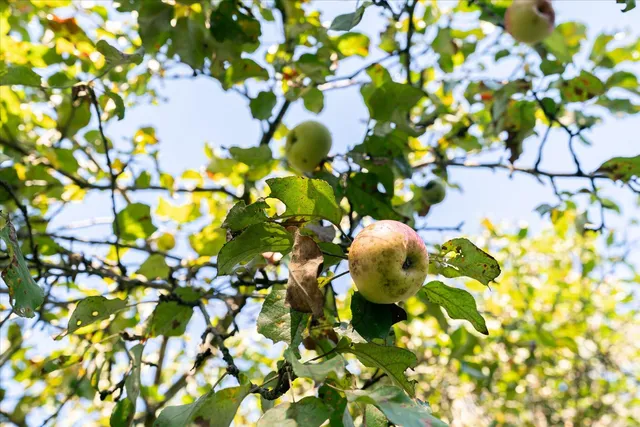 $740,000 | 23509 County Highway East, Dayton, WI 53581