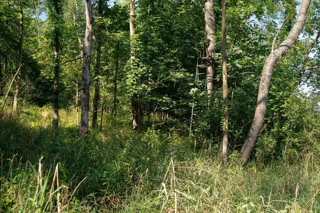 $740,000 | 23509 County Highway East, Dayton, WI 53581