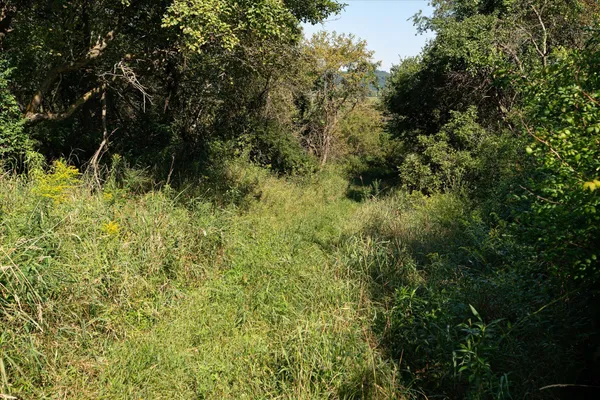 $740,000 | 23509 County Highway East, Dayton, WI 53581