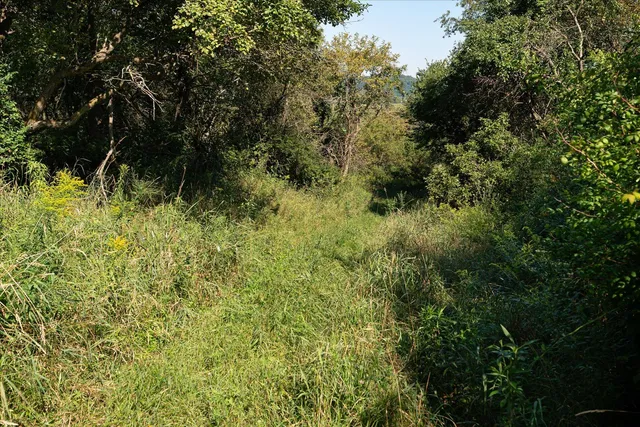 $740,000 | 23509 County Highway East, Dayton, WI 53581