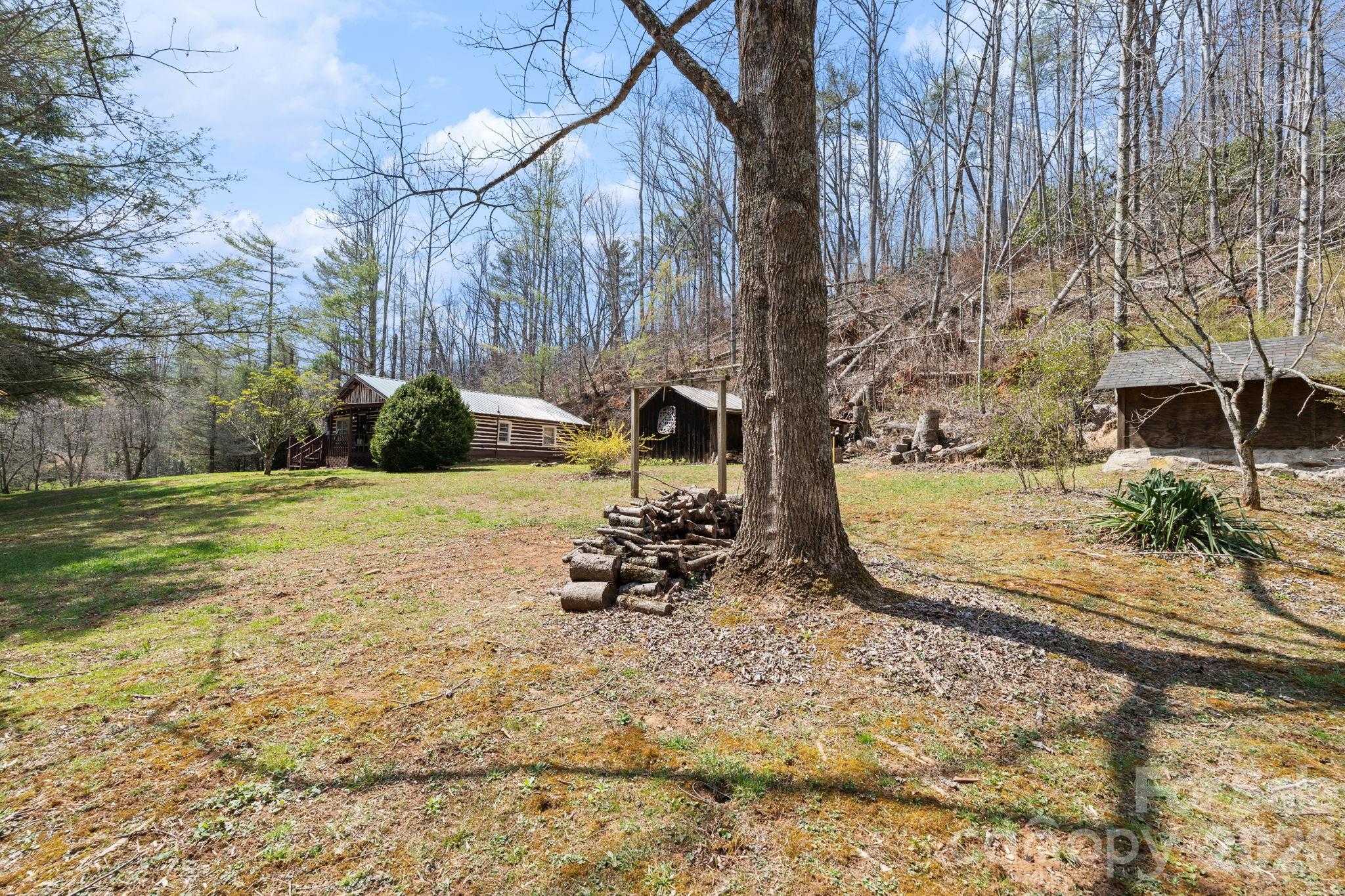 245 Davenport Road Spruce Pine, NC 28777 - Photo 22 of 25 a view of a yard with a slide