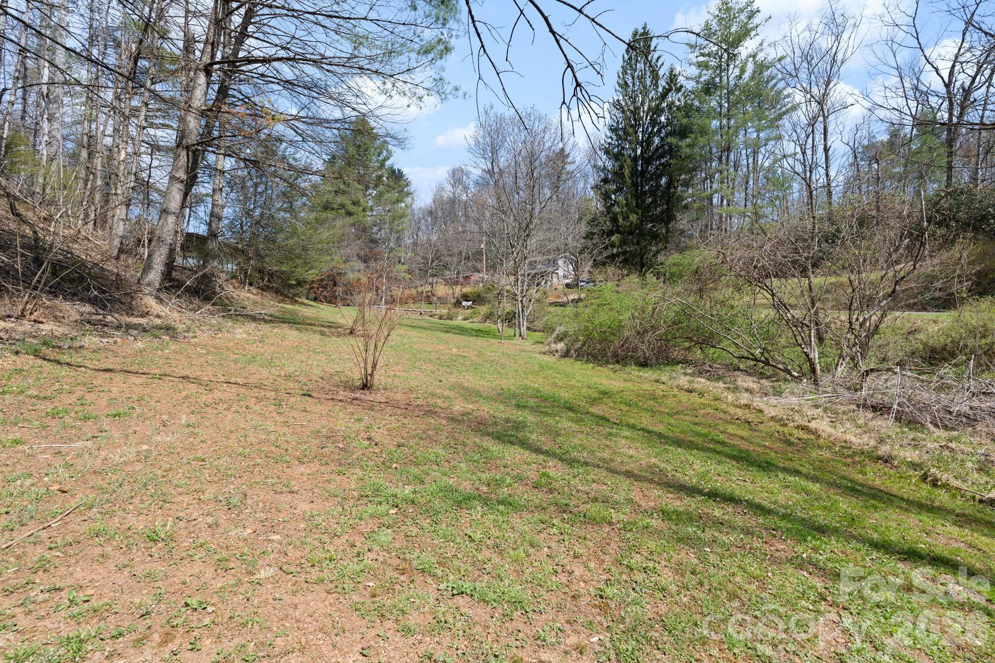 245 Davenport Road Spruce Pine, NC 28777 - Photo 23 of 25 a view of a yard with trees