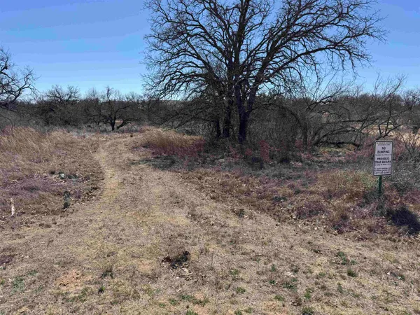 a view of a dry yard with trees